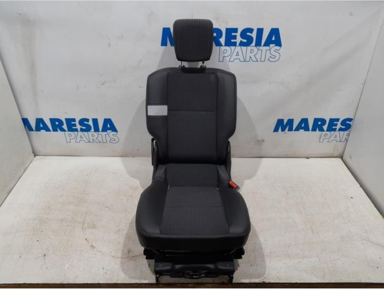 Renault - Scenic - Rear seat