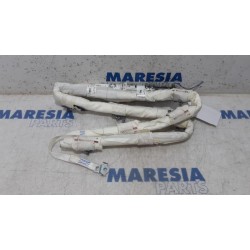 Renault - Megane - Airbag hemel links