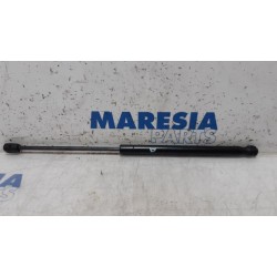 Citroen - C2 - Set of tailgate gas struts