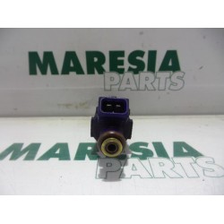 Renault - Megane Scenic - Injector (petrol injection)