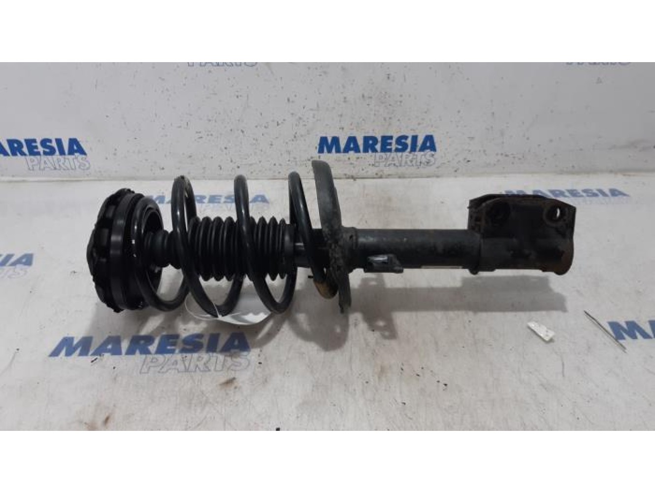 Renault - Scenic - Front shock absorber rod, right