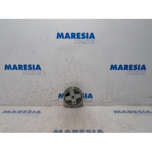 Fiat - Panda - Krukas Poelie
