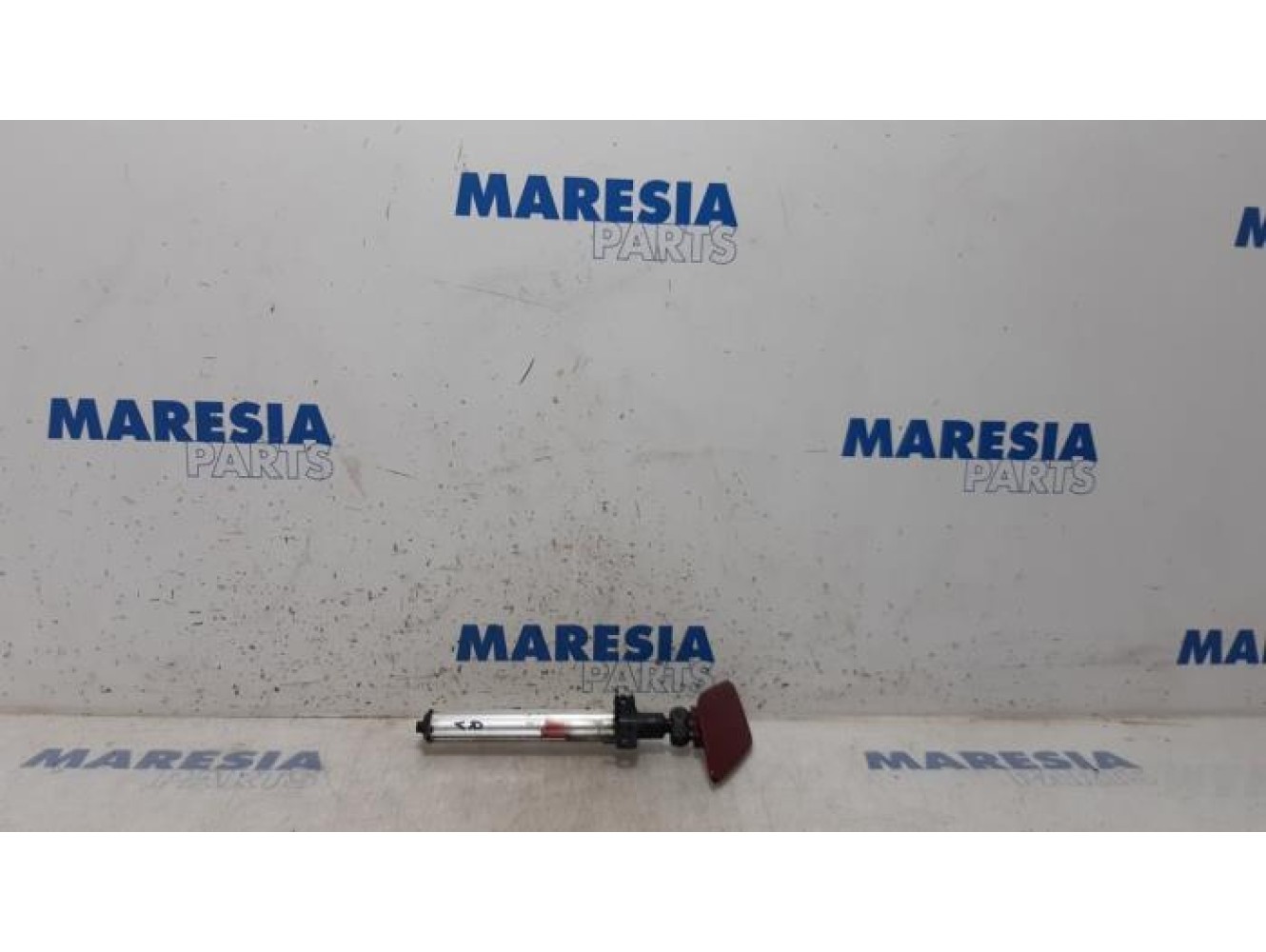 Renault - Scenic - Buse phare