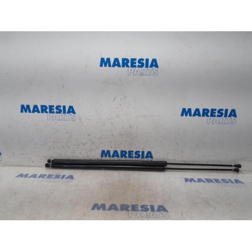 Renault - Kangoo - Set of tailgate gas struts