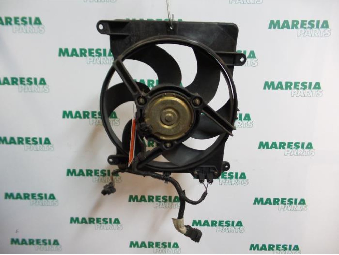 Fiat - Punto - Kühlgebläse Motor