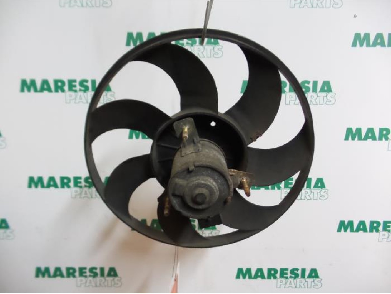 Fiat - Punto - Kühlgebläse Motor