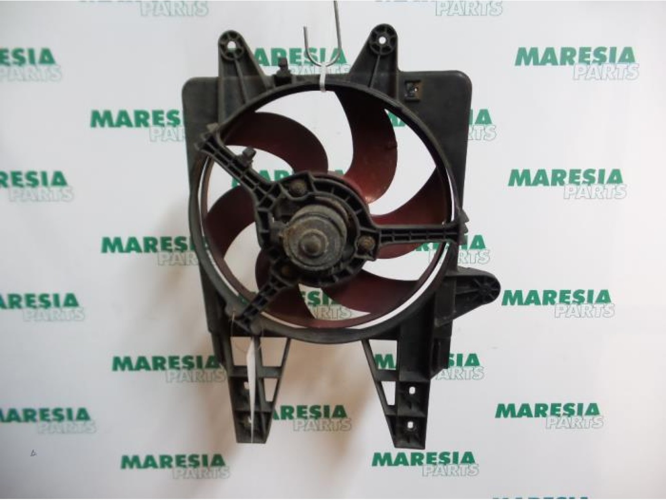 Fiat - Punto - Kühlgebläse Motor
