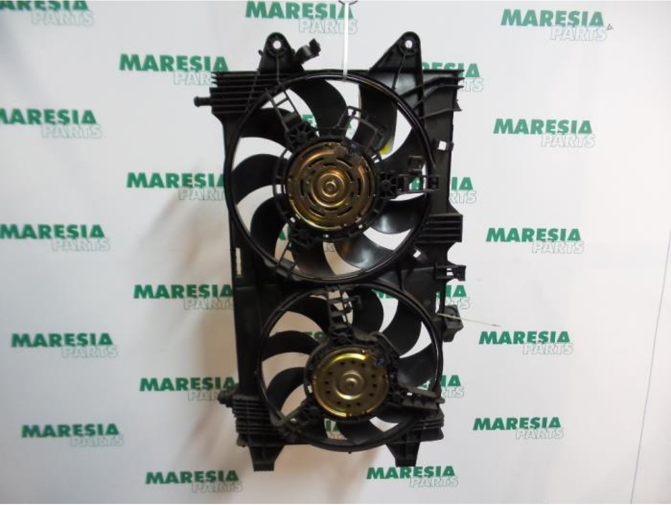 Fiat - Punto - Kühlgebläse Motor