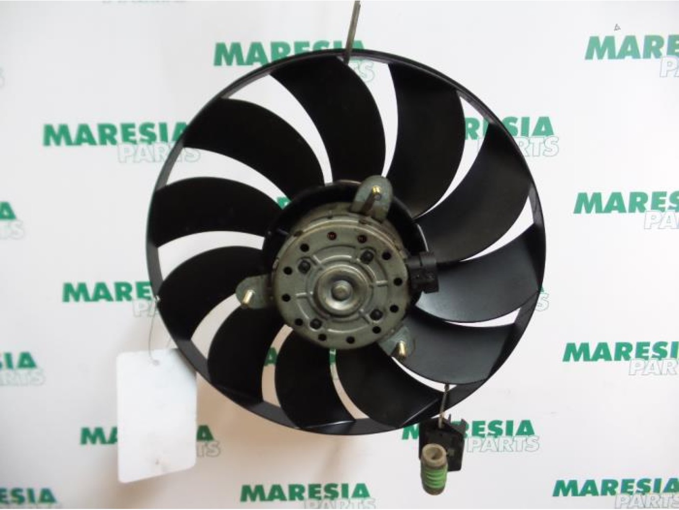 Fiat - Punto - Kühlgebläse Motor