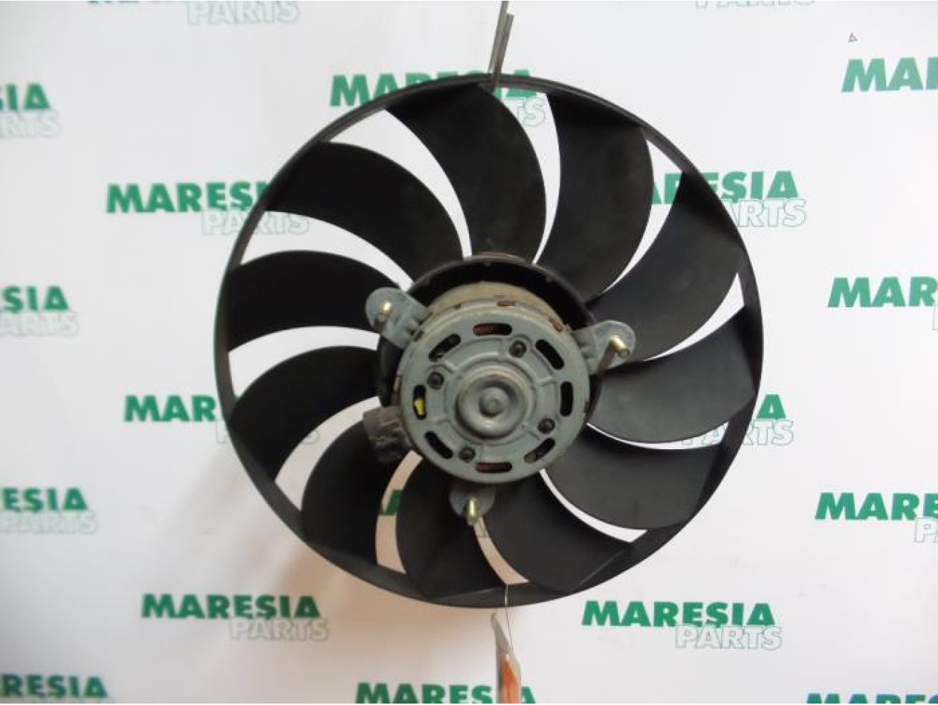 Fiat - Punto - Kühlgebläse Motor