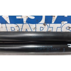 Renault - Megane - Set of tailgate gas struts