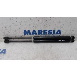 Renault - Megane - Set of tailgate gas struts