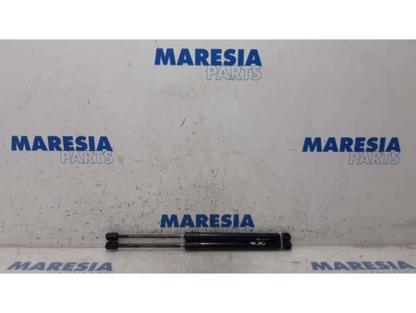 Renault - Megane - Set of tailgate gas struts