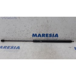 Renault - Megane - Gasdemper Motorkap links