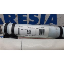 Renault - Megane - Airbag hemel links