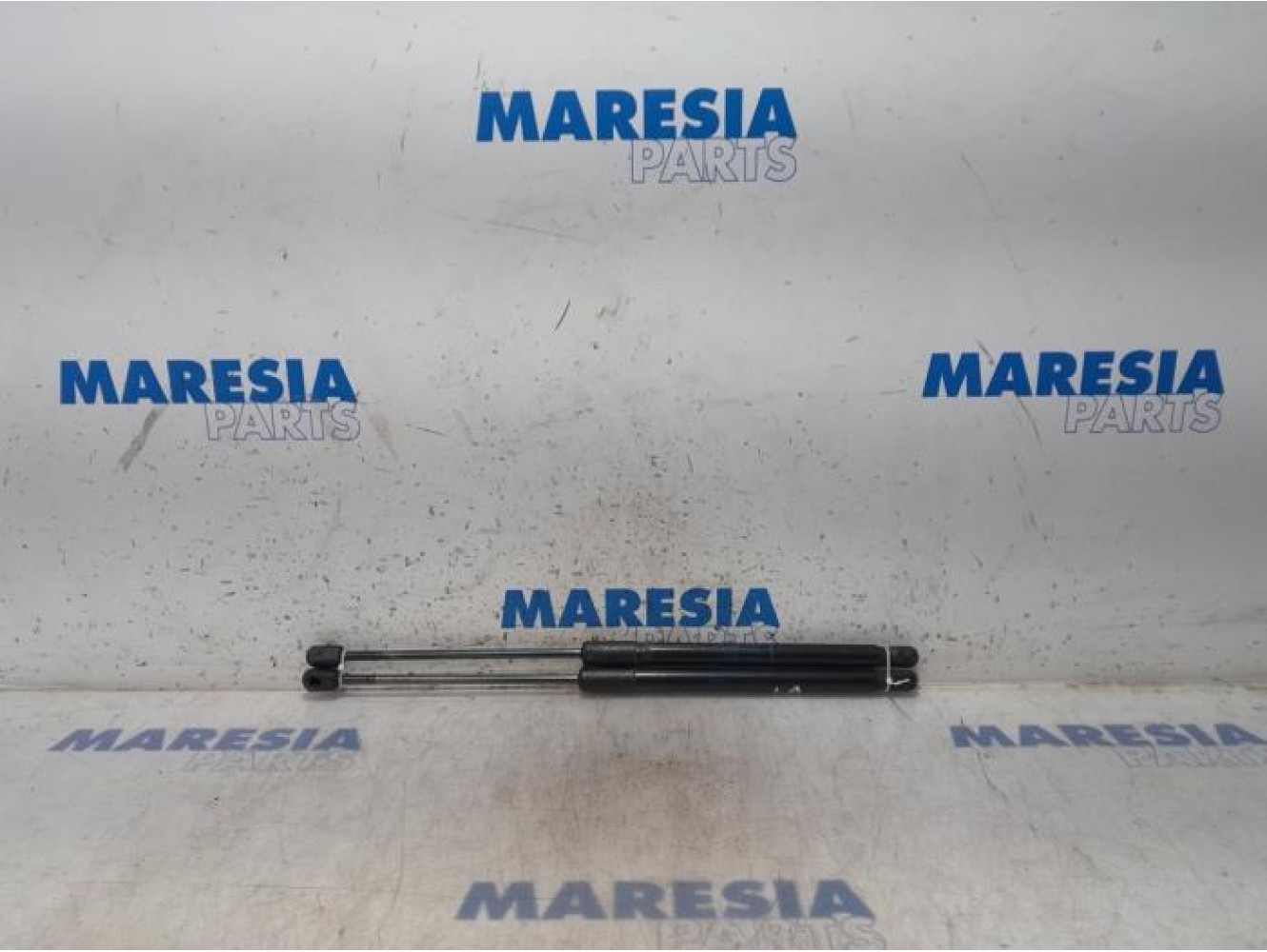 Renault - Megane - Set of tailgate gas struts