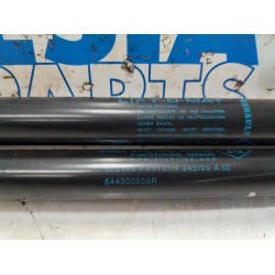 Renault - Megane - Set of tailgate gas struts
