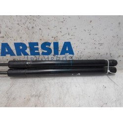 Renault - Megane - Set of tailgate gas struts