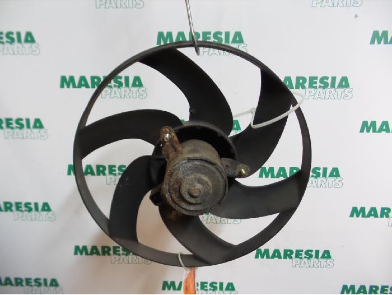 Citroen - Berlingo - Fan motor