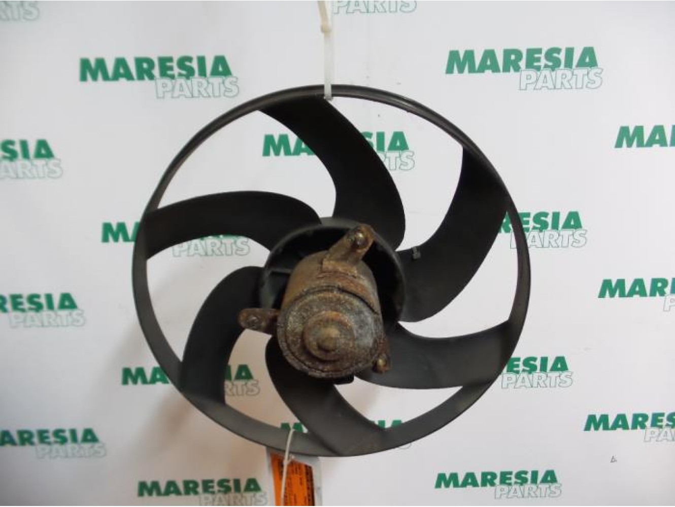 Citroen - Berlingo - Fan motor