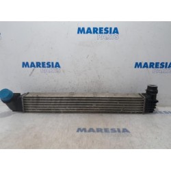Renault - Megane - Intercooler