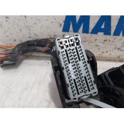 Renault - Clio - Wiring harness