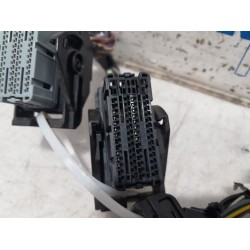 Renault - Clio - Wiring harness