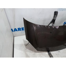 Citroen - DS3 - Bonnet