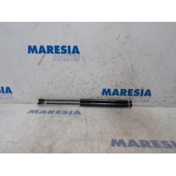 Fiat - Punto - Set of tailgate gas struts
