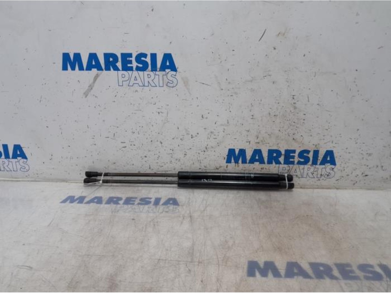 Fiat - Punto - Set of tailgate gas struts