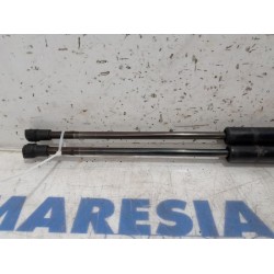 Fiat - Punto - Set of tailgate gas struts