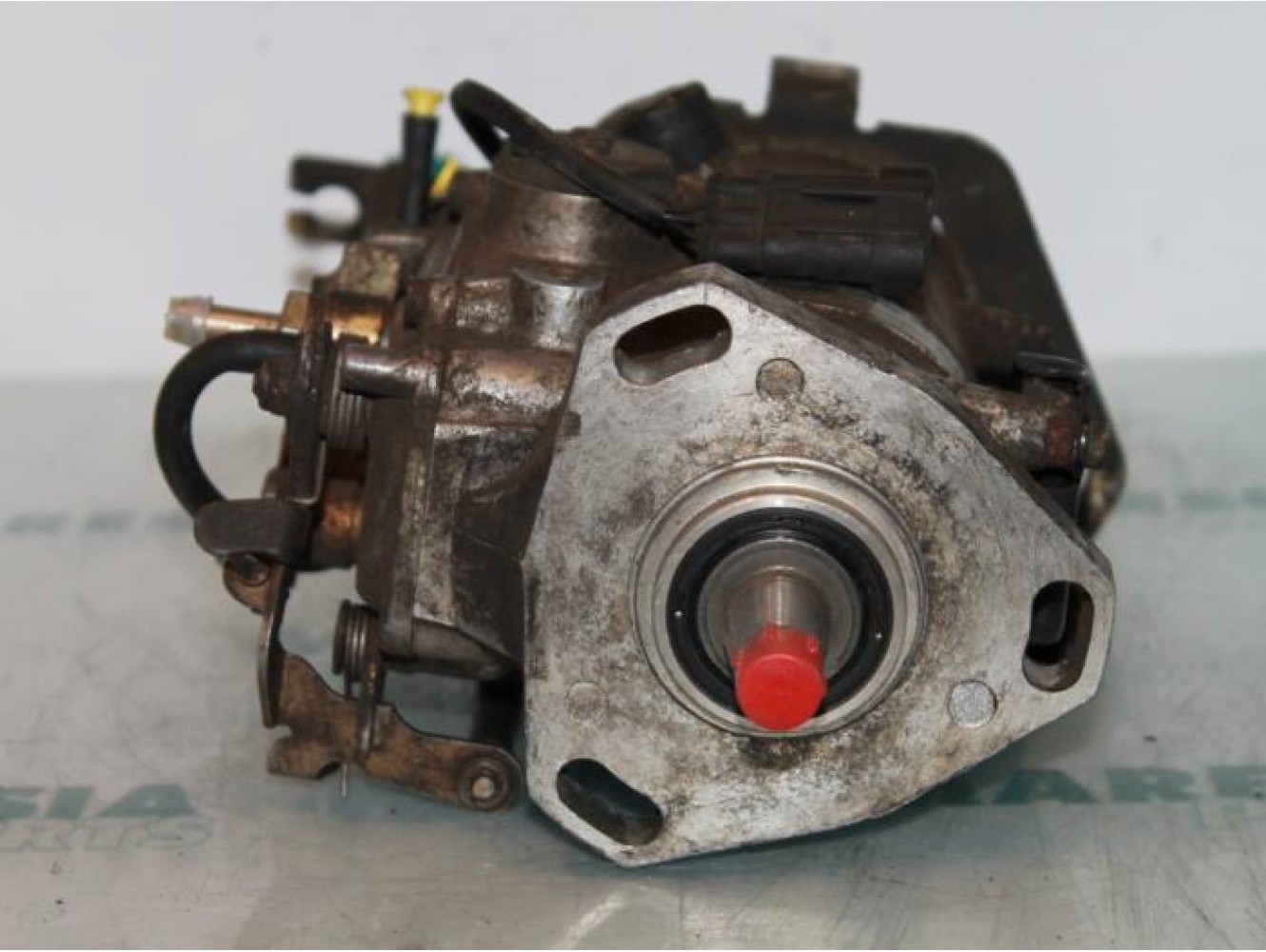 Fiat - Brava - Kraftstoffpumpe Mechanisch