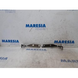 Citroen - DS3 - Bonnet Hinge