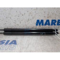 Citroen - C4 Cactus - Set Gasdämpfer Heckklappe