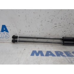 Citroen - C4 Cactus - Set Gasdämpfer Heckklappe