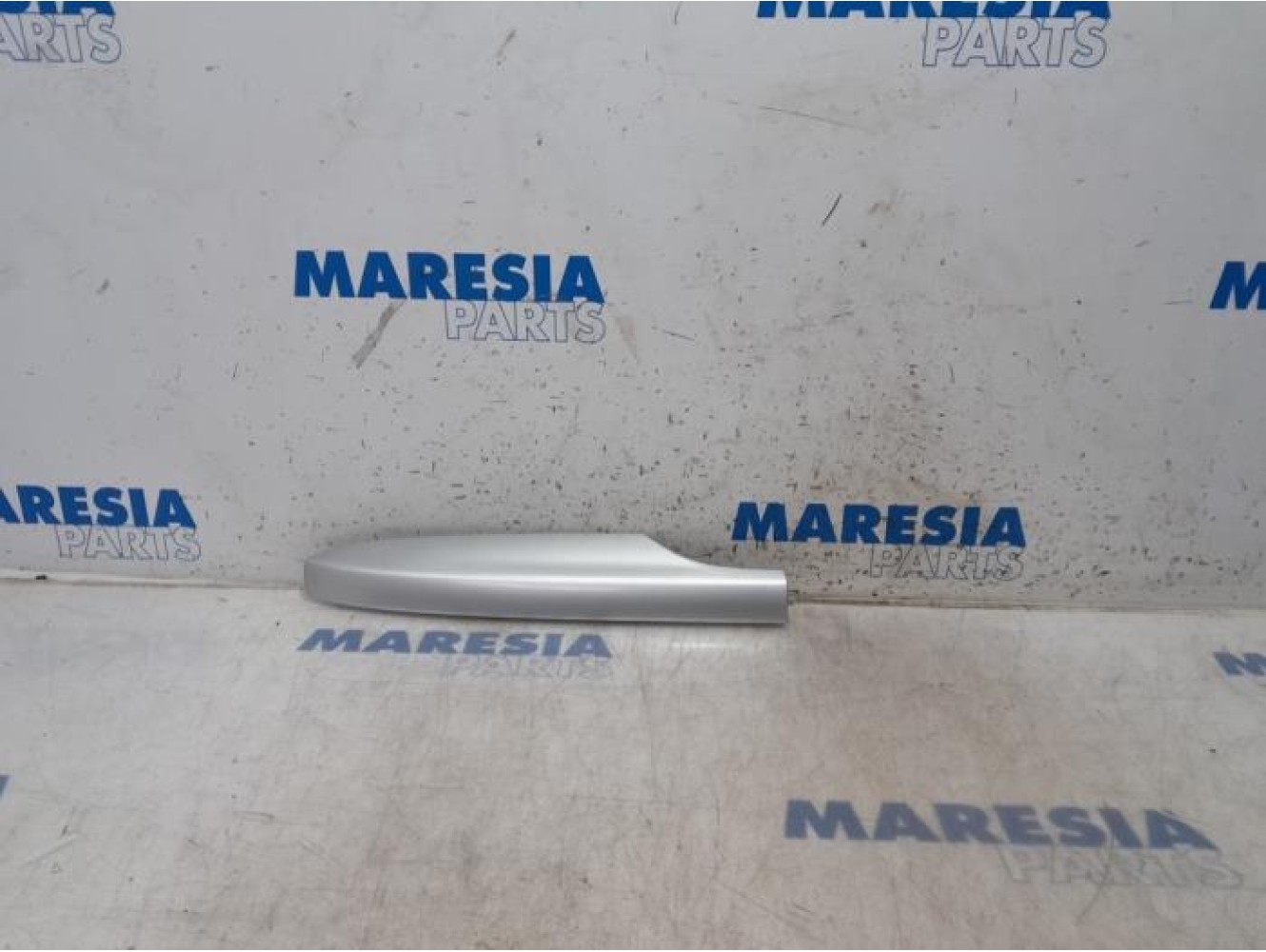 Renault - Megane - Protection rails de toit