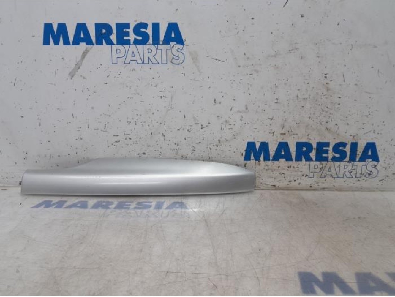 Renault - Megane - Protection rails de toit