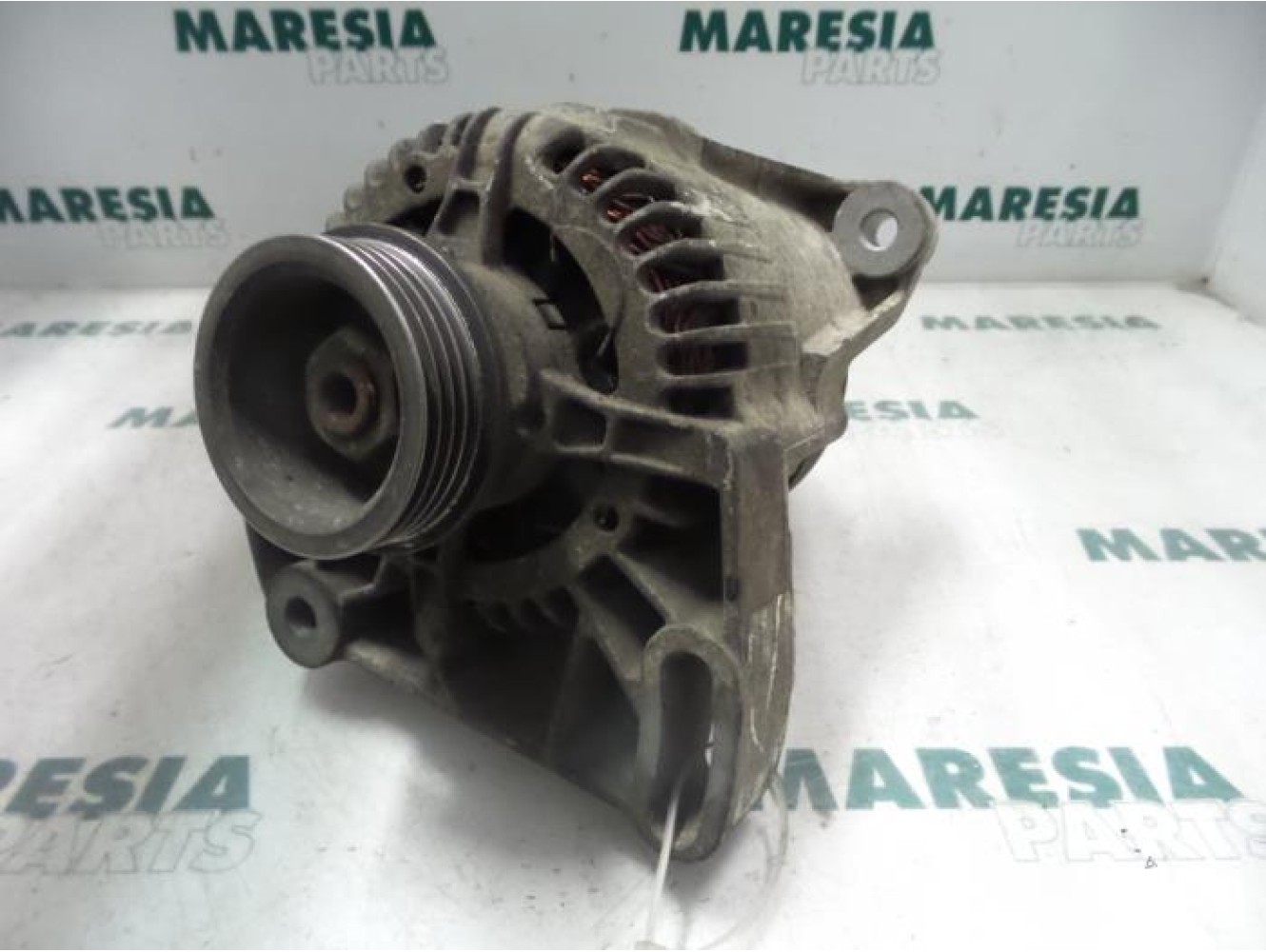 Fiat - Punto - Dynamo