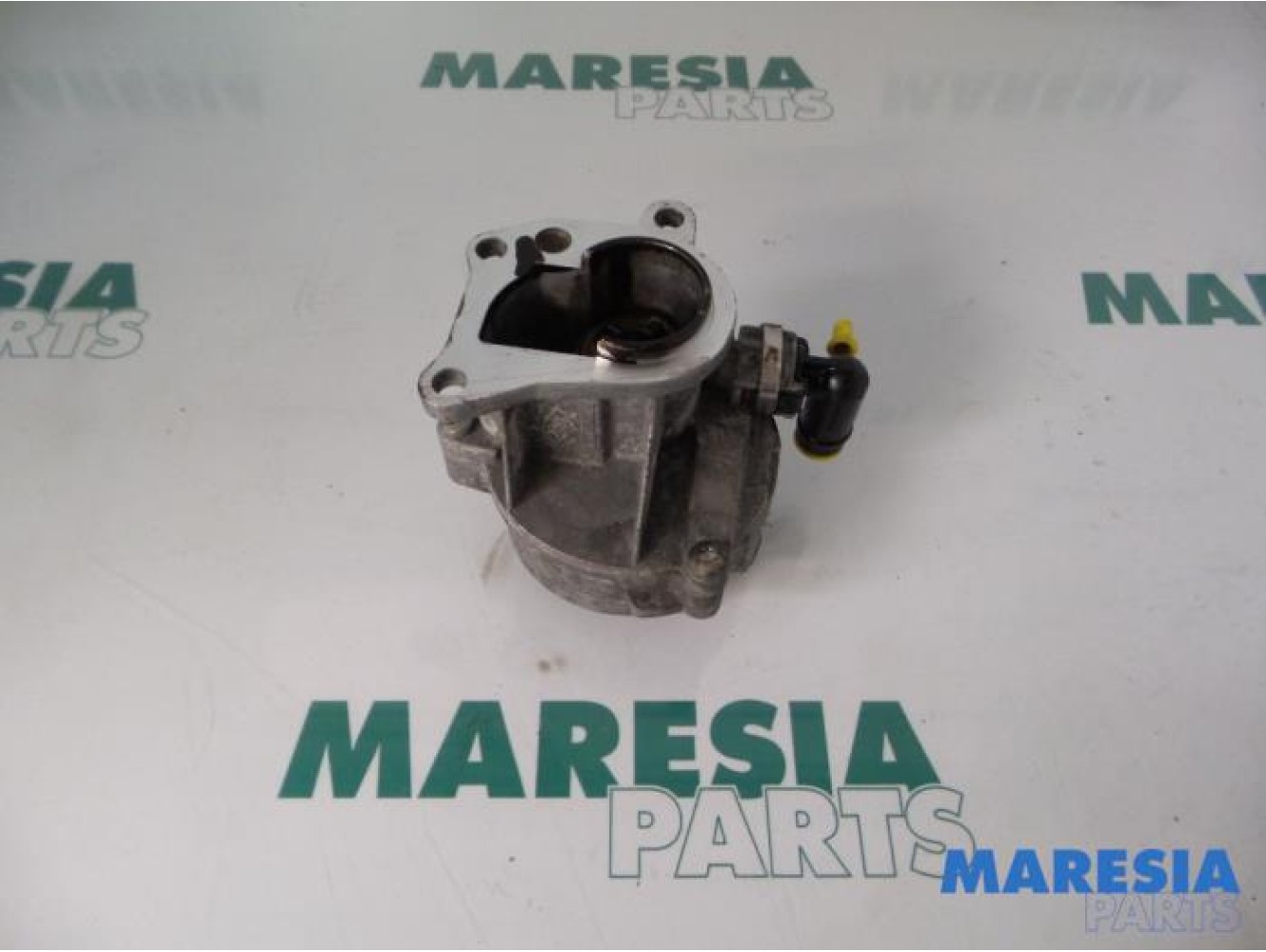 Renault - Megane Scenic - Pompe à vide (diesel)