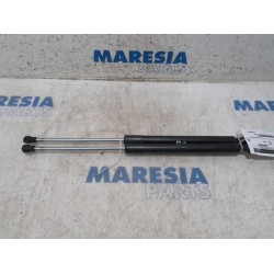 Renault - Clio - Set Gasdämpfer Heckklappe
