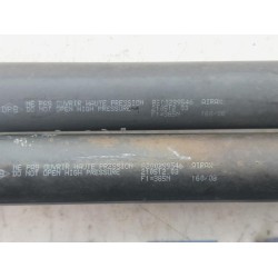 Renault - Clio - Set Gasdämpfer Heckklappe