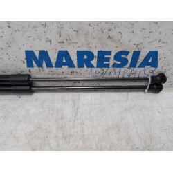 Citroen - DS3 - Set of tailgate gas struts