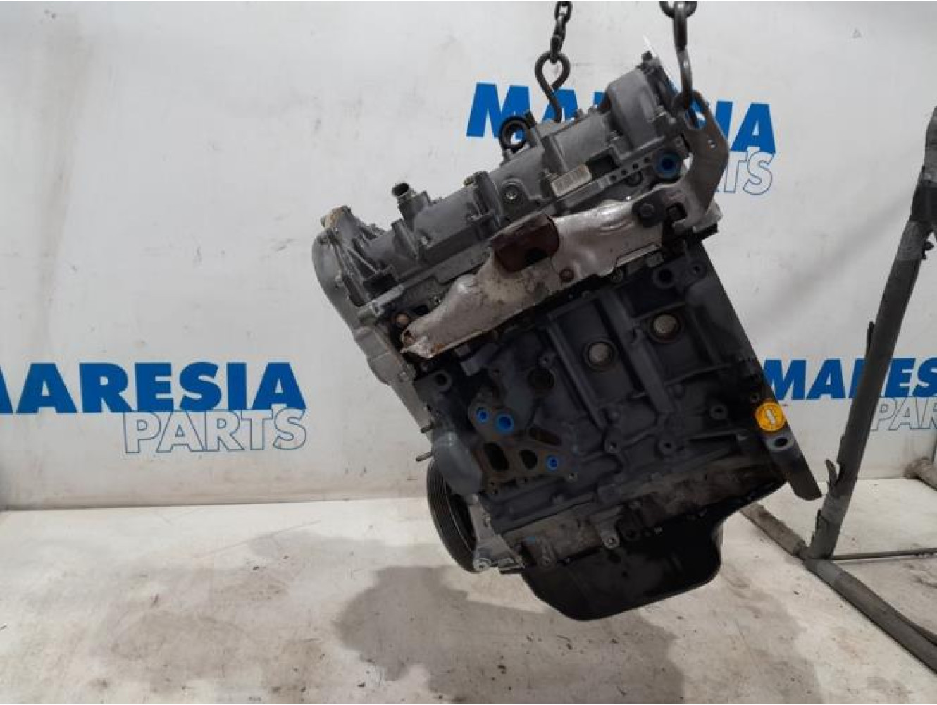 Fiat - Doblo - Engine