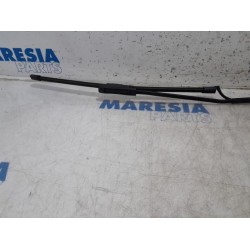 Citroen - C4 Cactus - Front wiper arm
