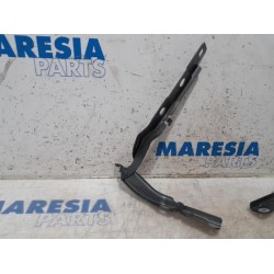 Citroen - C4 Cactus - Bonnet Hinge