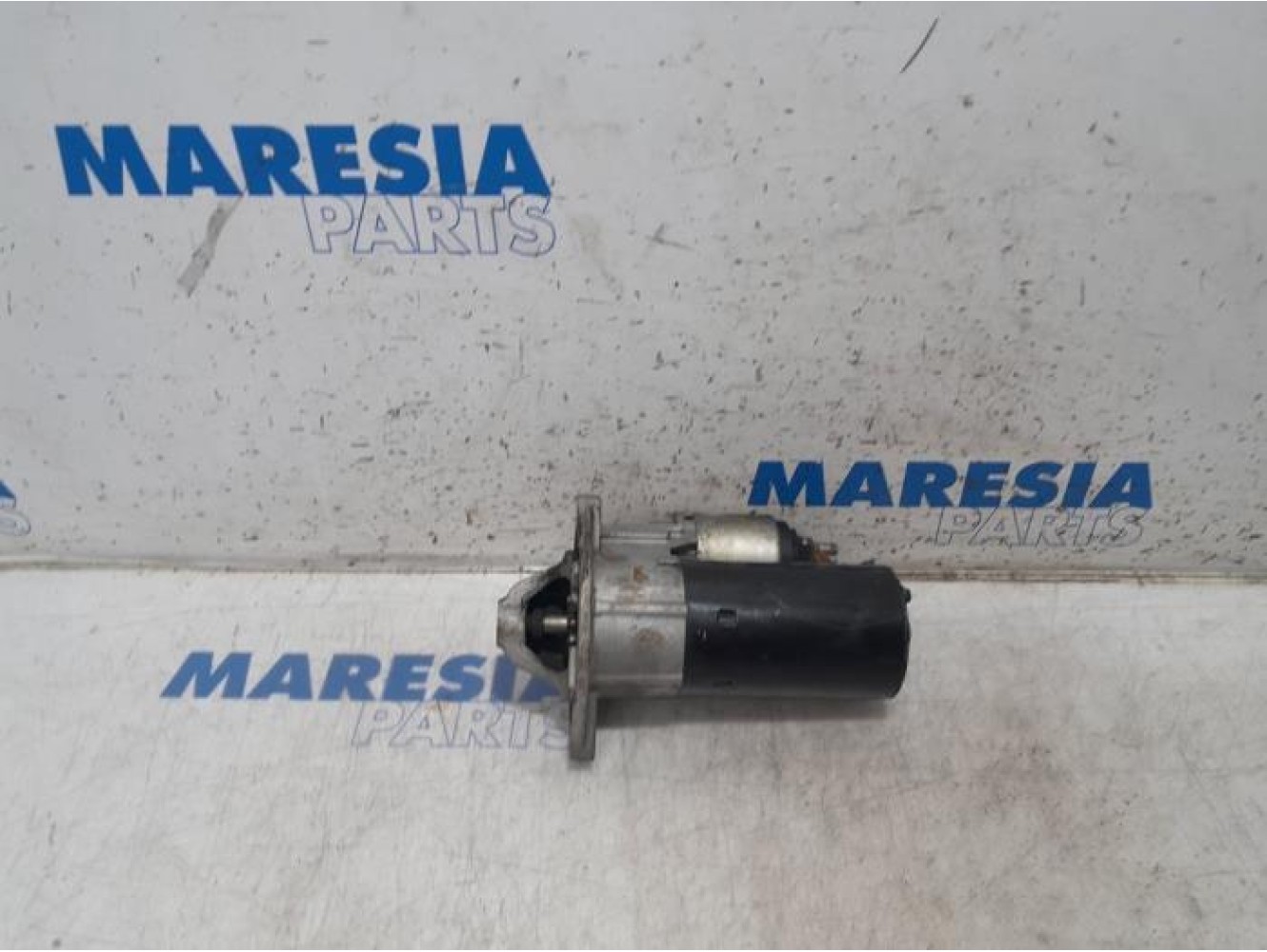 Fiat - Doblo - Starter