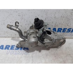 Citroen - Berlingo - EGR valve