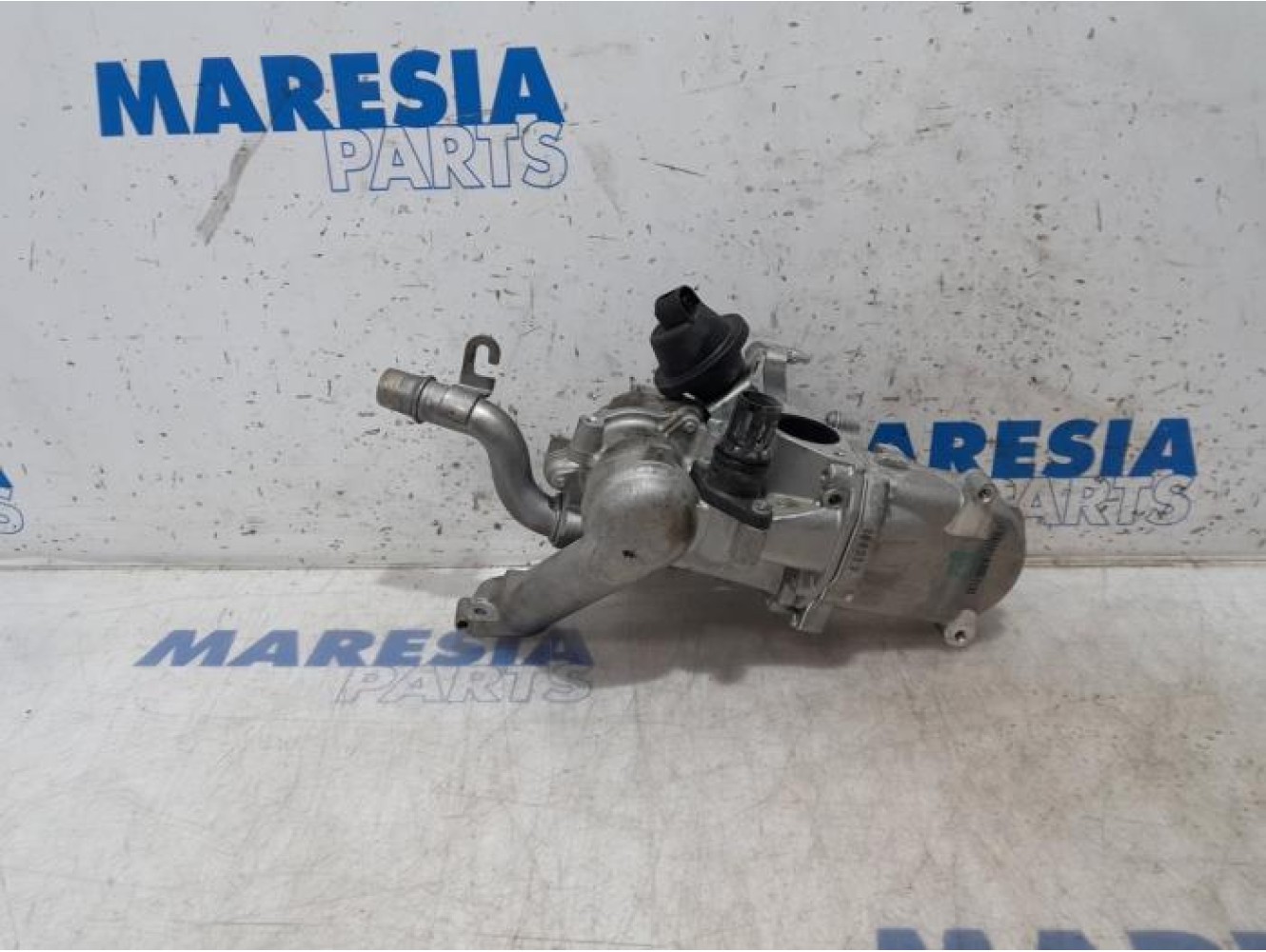 Citroen - Berlingo - EGR valve