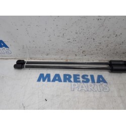 Citroen - C4 Grand Picasso - Set Gasdämpfer Heckklappe