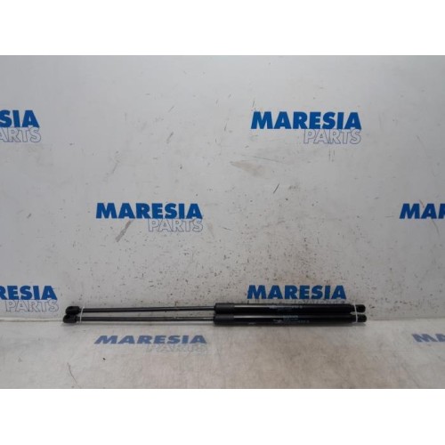 Citroen - C4 Grand Picasso - Set of tailgate gas struts